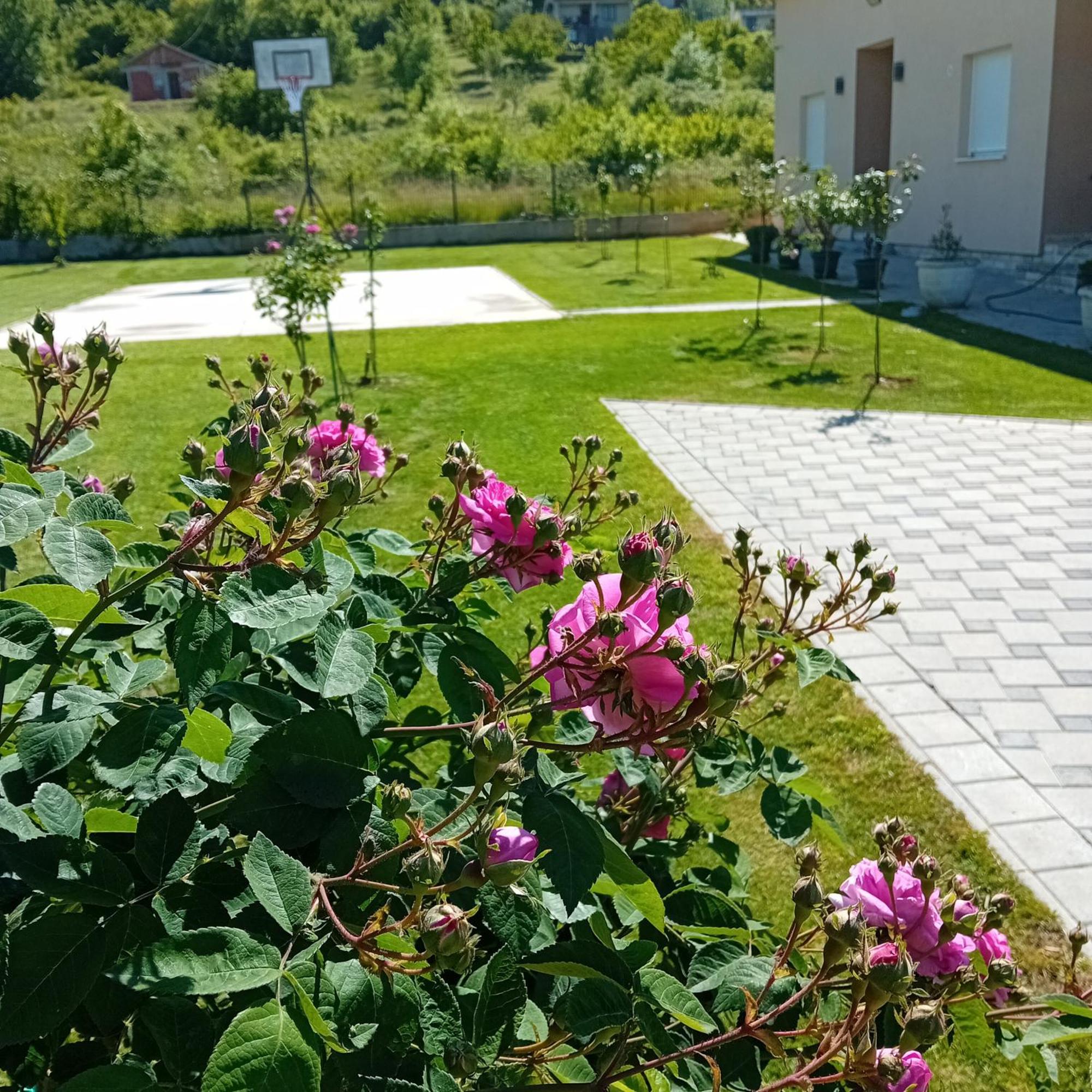 Lila Villa