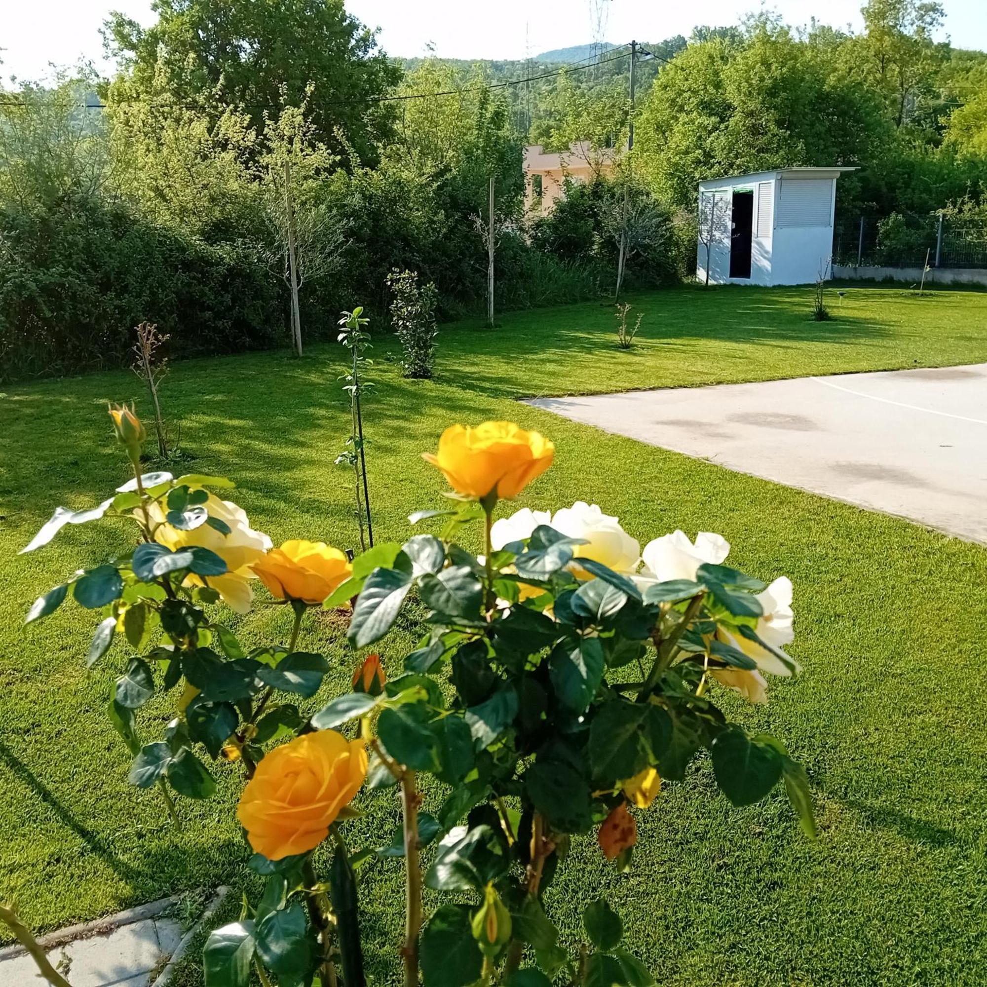 Lila Villa Mostar